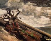 Burnt Mountain - 温斯洛·荷默